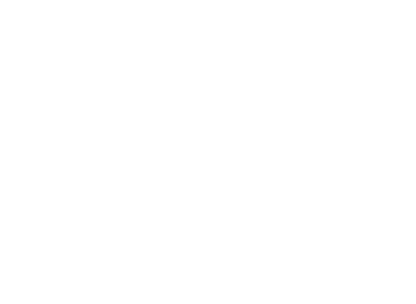 akonlogo-1.png